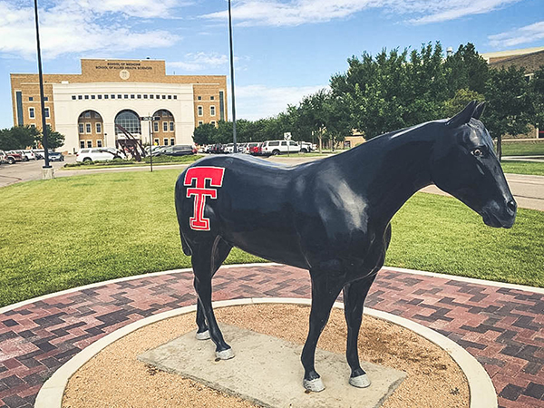 Photo of Pride of the Masked Rider on Amarillo campus.