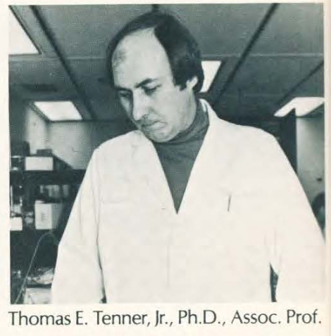 dr. tenner