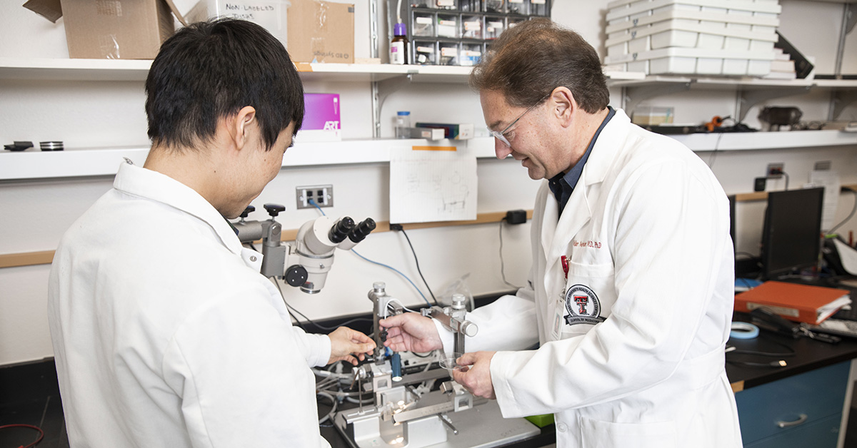 Researchers working in lab