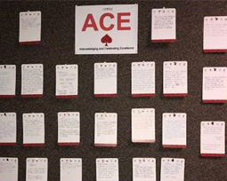 ACEs for Ophthalmology
