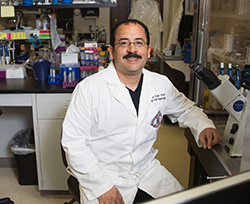 Cuello’s Potassium Channel Research Published in PNAS