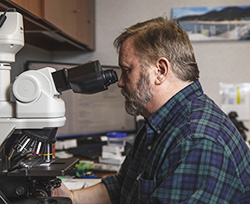 Cancer Prevention and Research Institute of Texas Awards Texas Tech University Health Sciences Center Grants