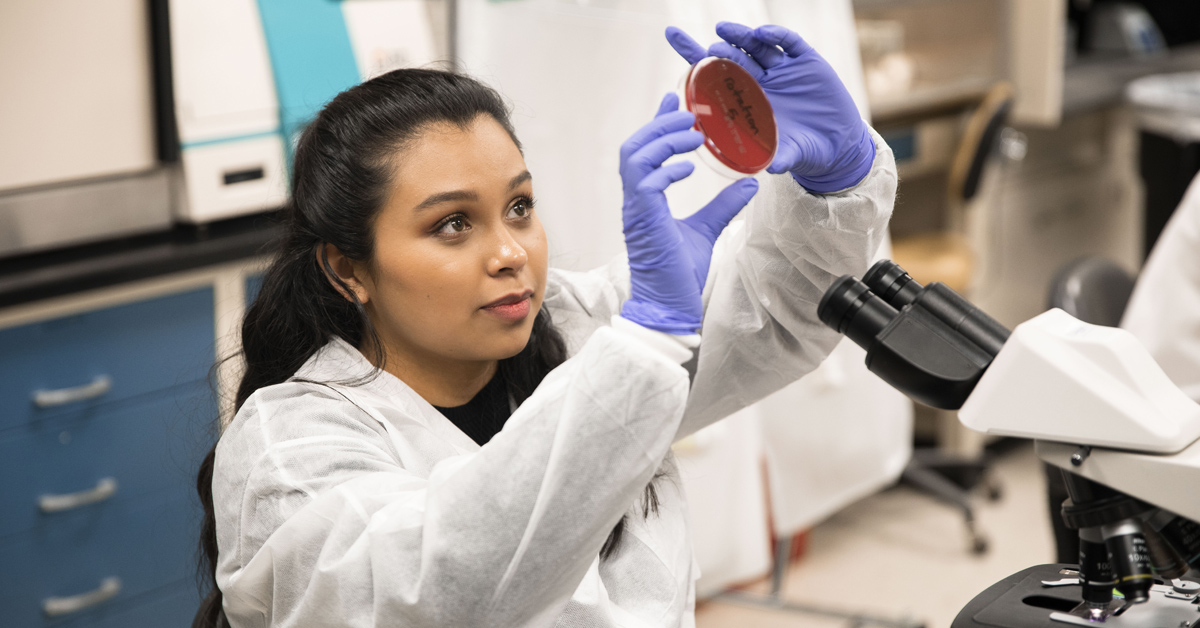 TTUHSC clinical laboratory science student examining a specimen in a petri dish.