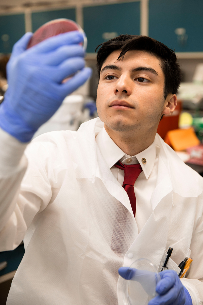 TTUHSC clinical laboratory science student examining a specimen in a petri dish.