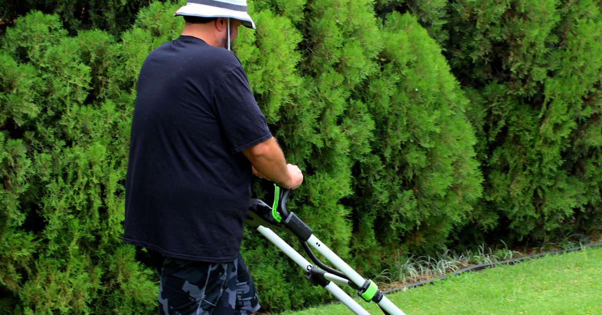 Man mowing lawn