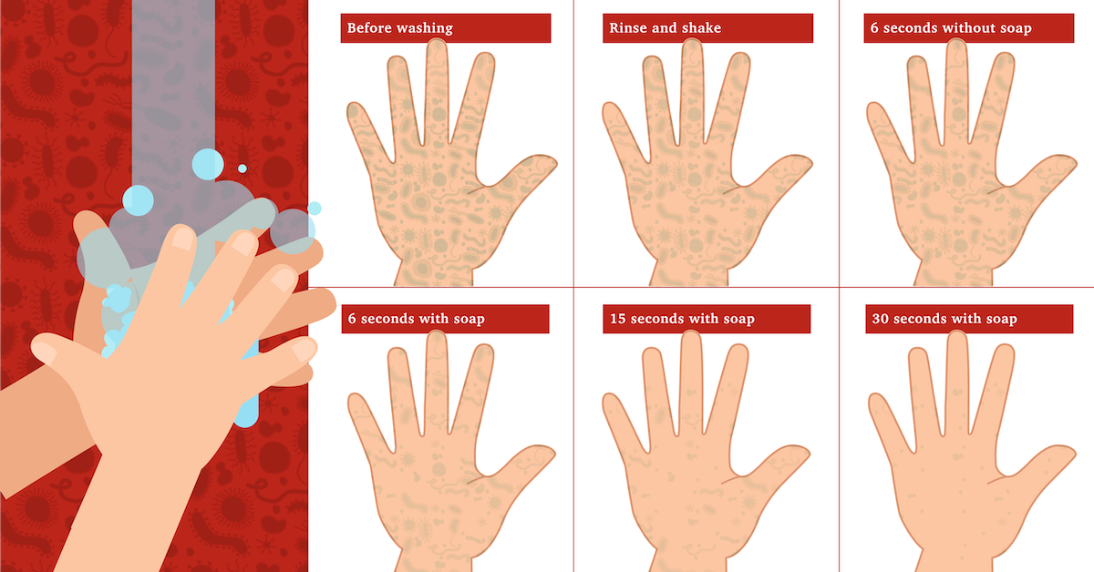 Handwashing Infographic