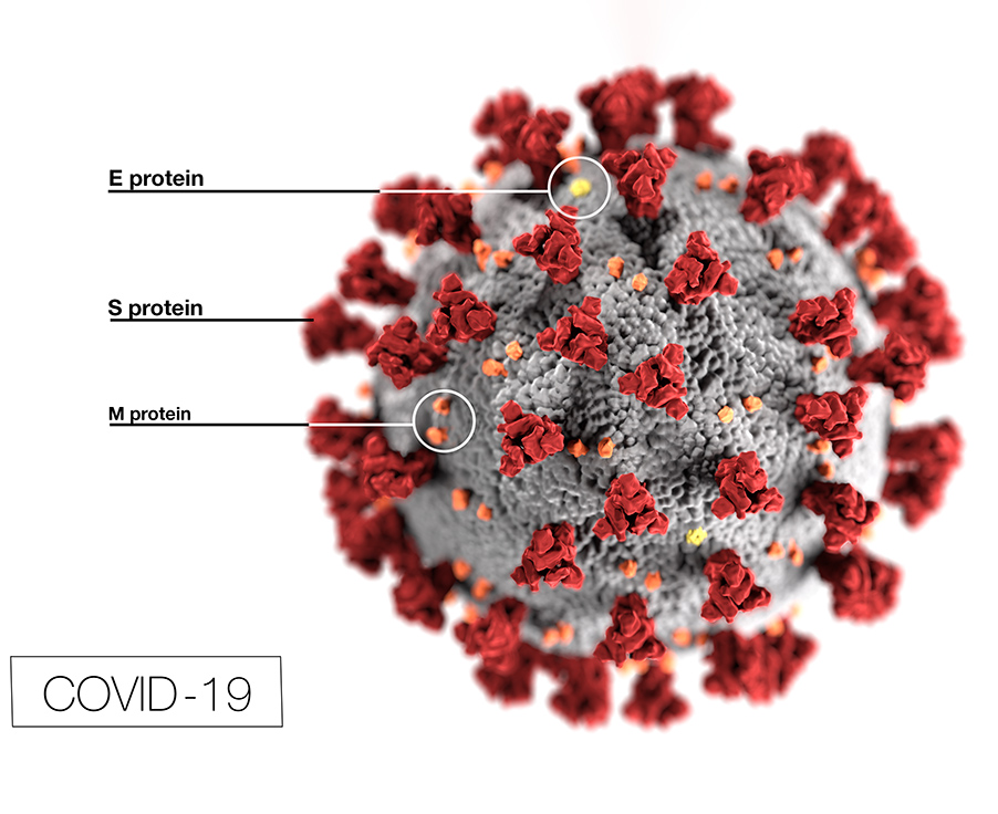 Coronavirus Update: March 12, 2020