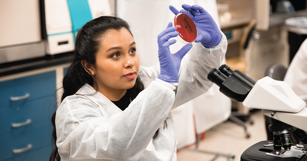 TTUHSC clinical lab sciences student examining sample.