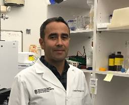 Journal Publishes Research Review by TTUHSC Pharmacy Investigator