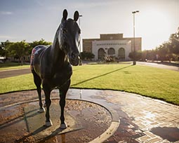 Texas Tech University System Board of Regents Approves Donation of Land from Amarillo Area Foundation