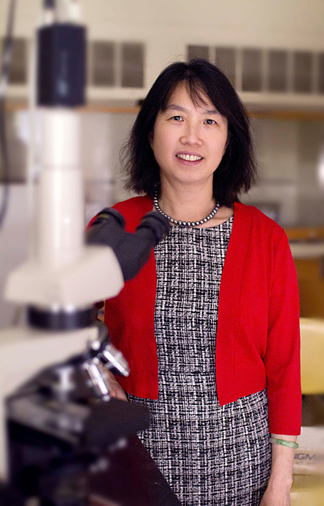 Leslie Shen, Ph.D., C.C.R.P