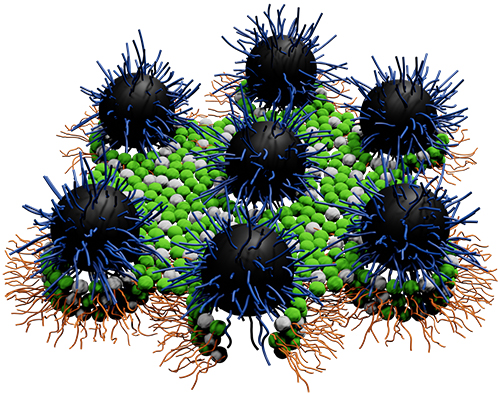 computer generated replica of nanoantibiotics