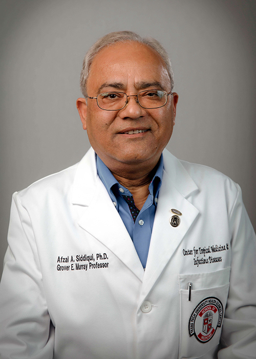 Afzal A. Siddiqui, Ph.D.