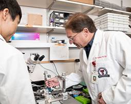 Texas Tech University Health Sciences Center Researchers Achieve Global Recognition