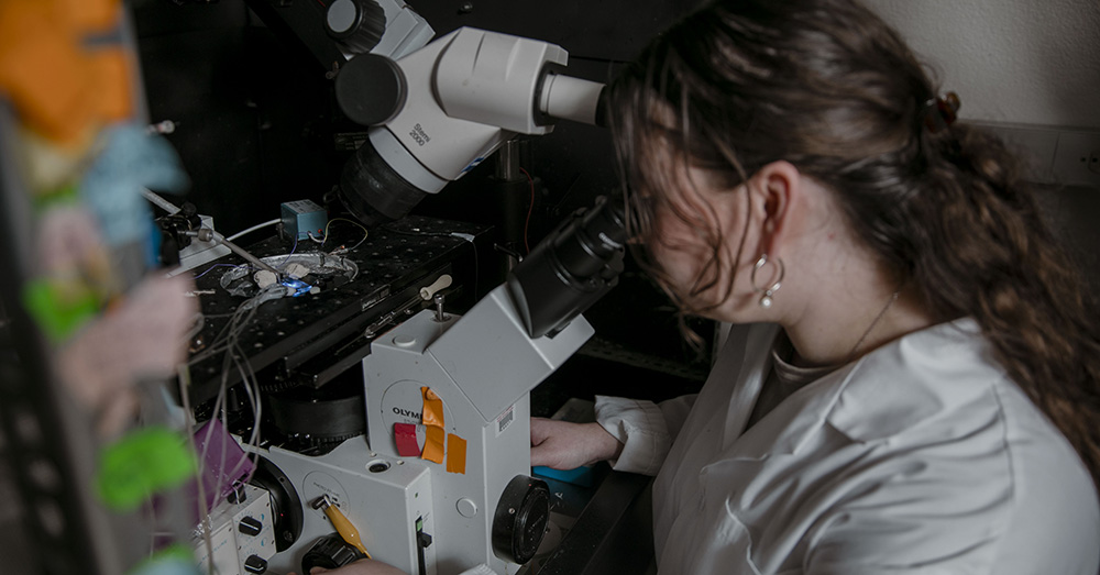 Victoria C. Young, Ph.D. looking through a microscope