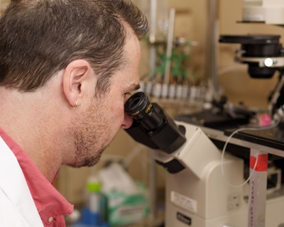 TTUHSC Researcher Studies the Ability of Brine Shrimp to Thrive in High Salinity