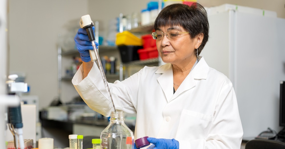 Lan Guan, M.D., Ph.D. working in her lab