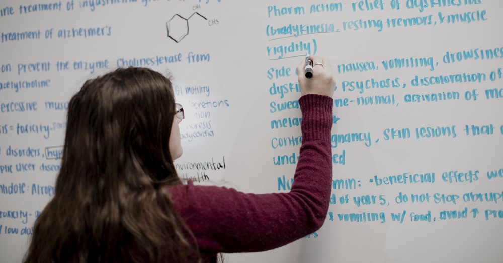 public health student writing on a dry-erase board
