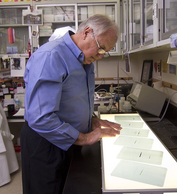 Male TTUHSC researcher looks at papers spread out on a table.