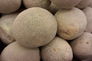While the bacteria is located on the outside of the cantaloupe, the edible part of the fruit is easily contaminated.