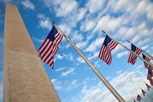 The 38th Annual American Academy of Nursing Meeting Conference will be on Oct. 15 in Washington, D.C.