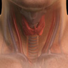 Is it Your Thyroid?