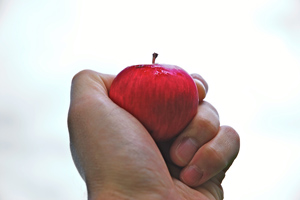 Pediatric Club Hosts Fall Health &$1Obesity Awareness Fair