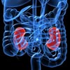 Check Your Filter: Chronic Kidney Disease a Silent Killer
